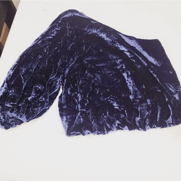 Alice + Olivia Craven One Shoulder Velvet Top Blueberry Viscose Silk XS - Picture 3 of 6